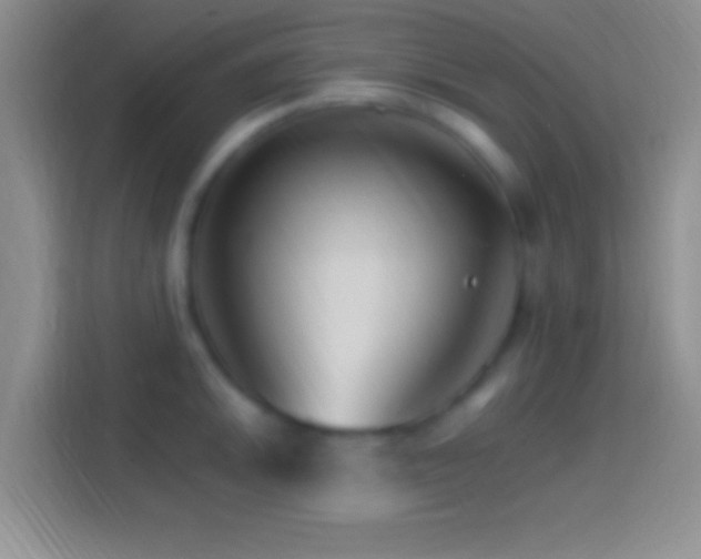 X0000114401046200910231105