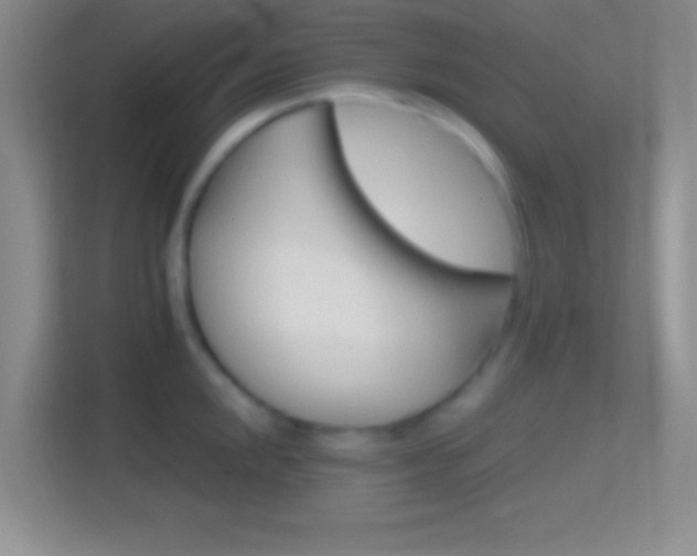 X0000114401048200910231105