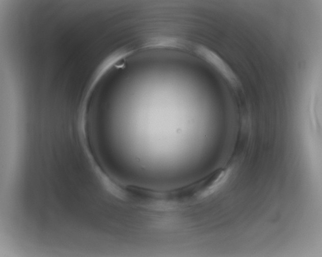 X0000114401050200910231105