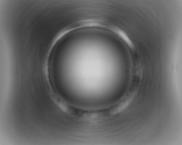 X0000114401051200910231105