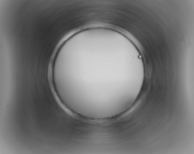 X0000114401053200910231106