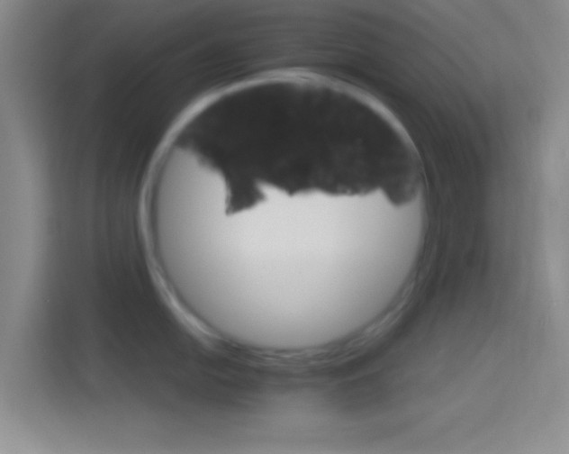 X0000114401054200910231106