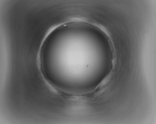 X0000114401056200910231106