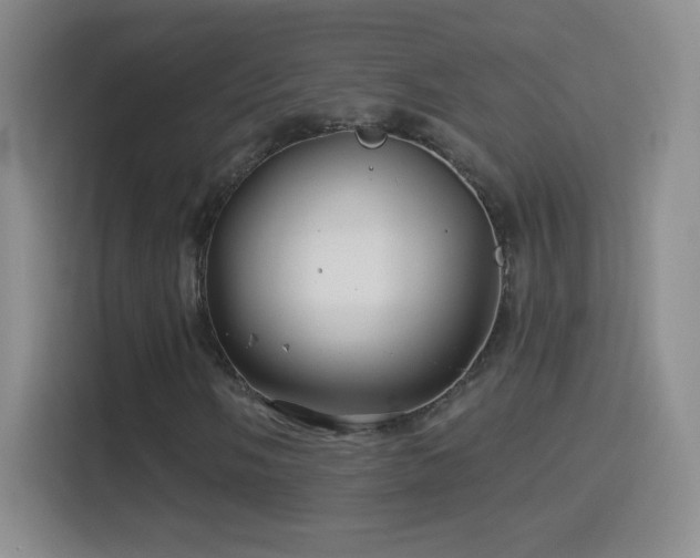 X0000114401058200910231105