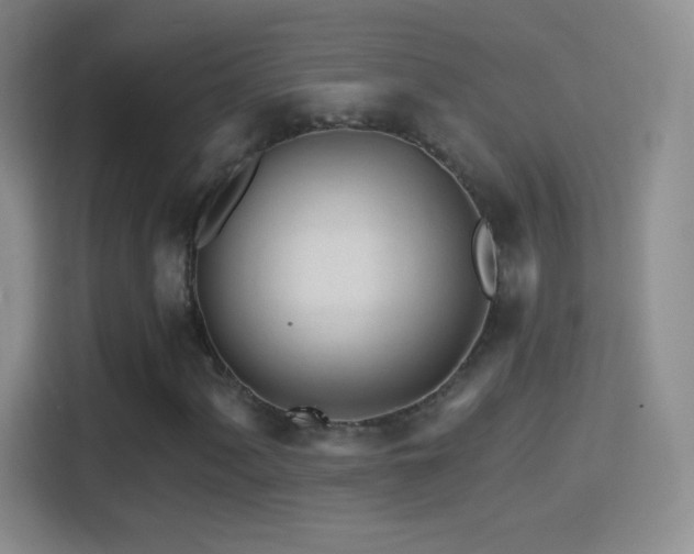 X0000114401060200910231105