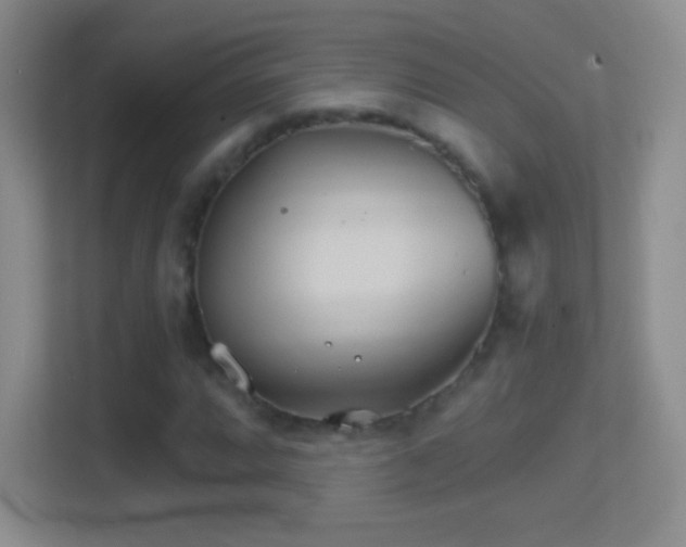 X0000114401064200910231105