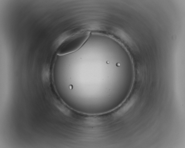 X0000114401065200910231105