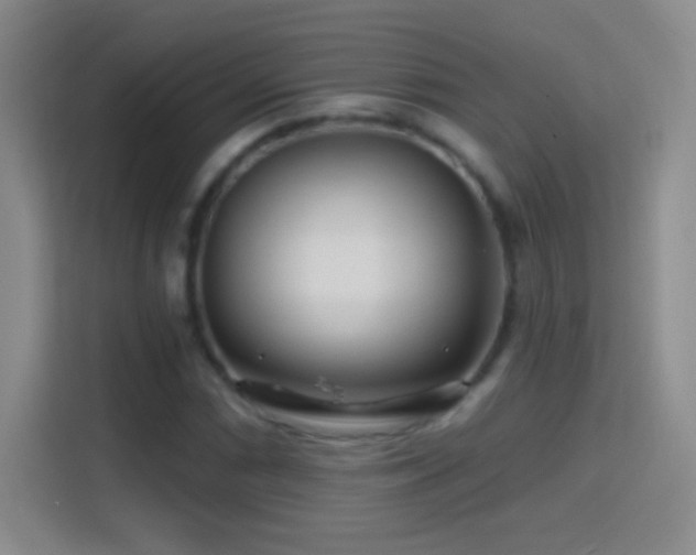 X0000114401066200910231105