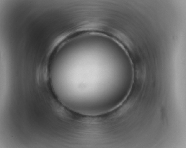 X0000114401069200910231105