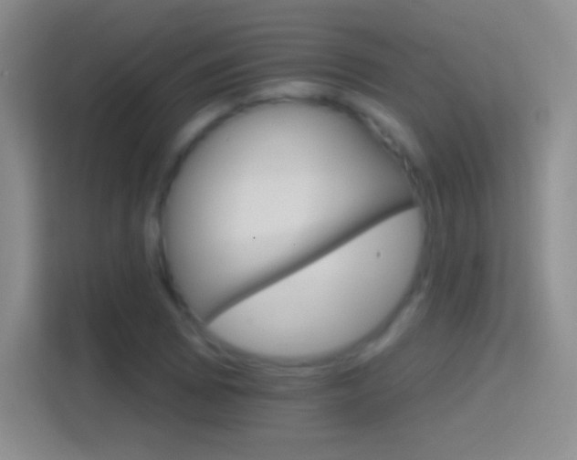 X0000114401073200910231105