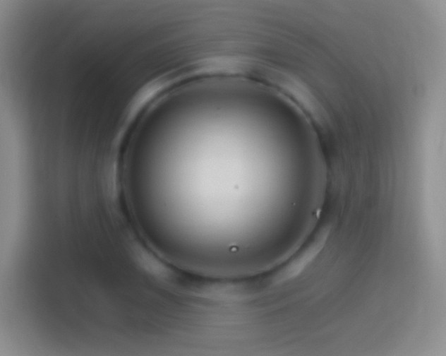 X0000114401075200910231105