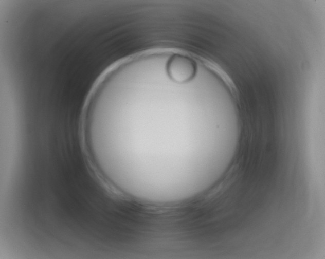 X0000114401076200910231105