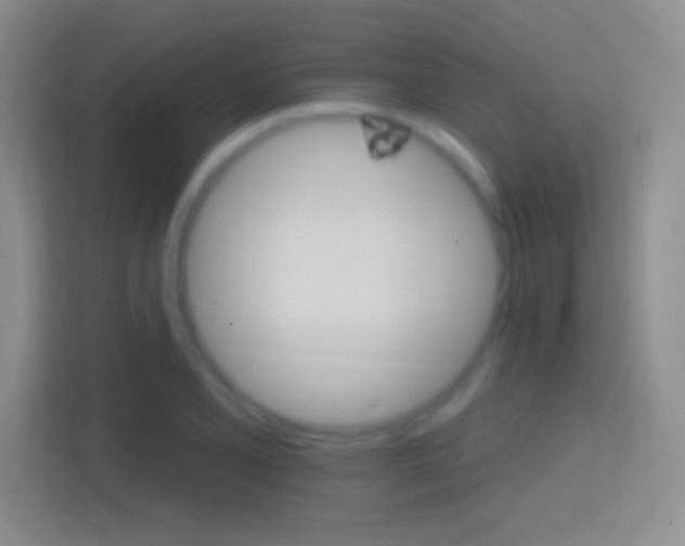 X0000114401077200910231105