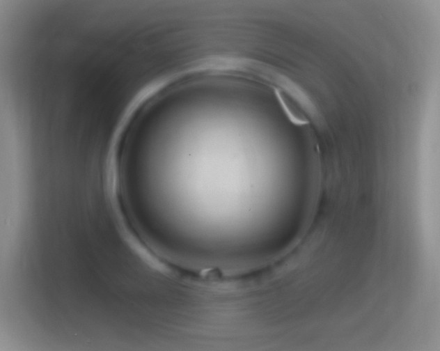 X0000114401080200910231105