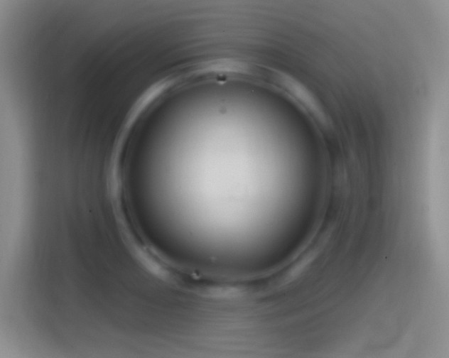 X0000114401082200910231105