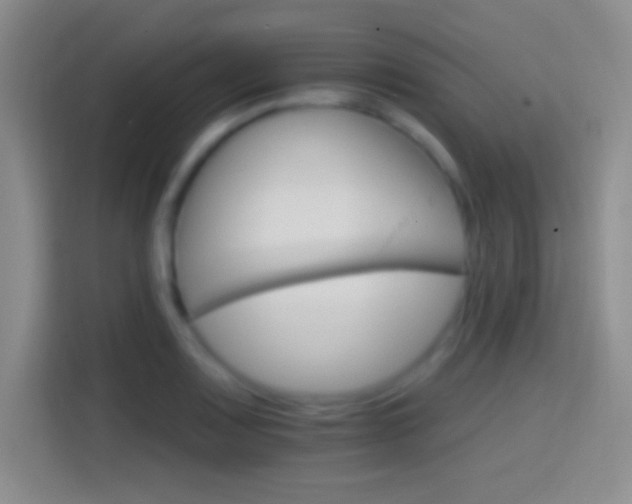 X0000114401083200910231105