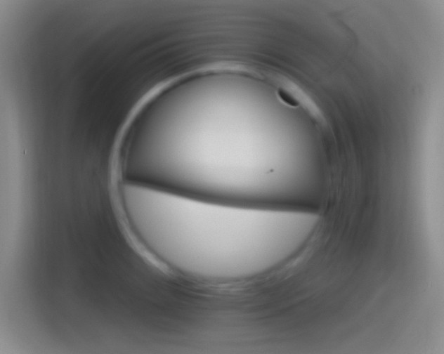 X0000114401084200910231105