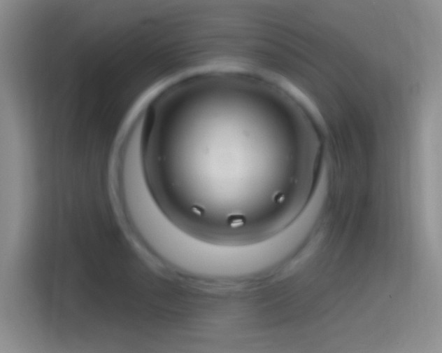 X0000114401085200910231105