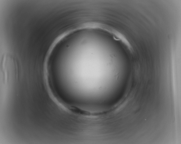 X0000114401088200910231105