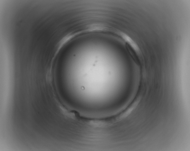 X0000114401089200910231105