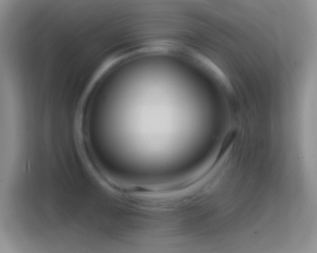 X0000114401091200910231104