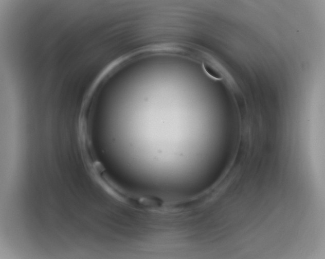 X0000114401092200910231104