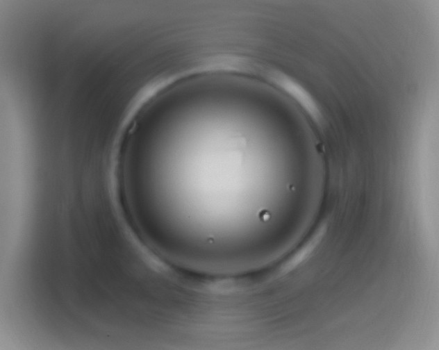 X0000114401093200910231104