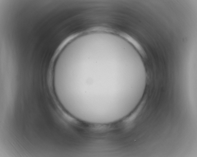 X0000114401094200910231104