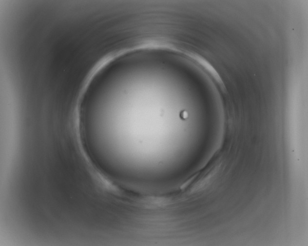 X0000114401096200910231104