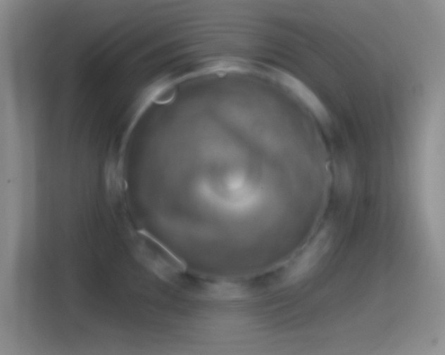 X0000114401097200910231104