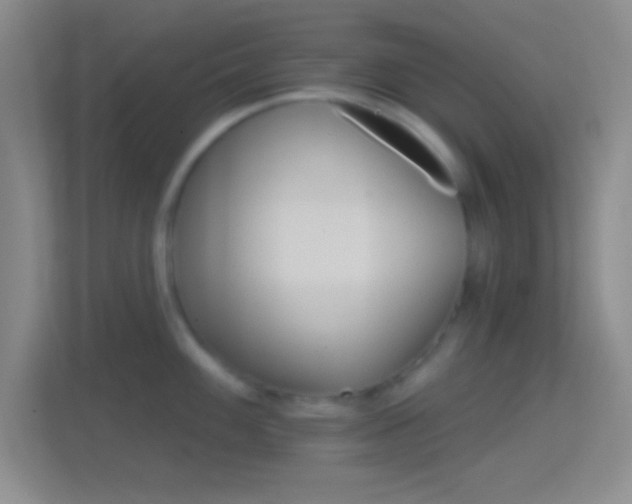 X0000114401100200910231104