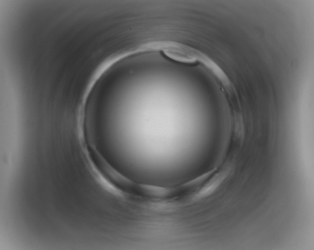 X0000114401102200910231104