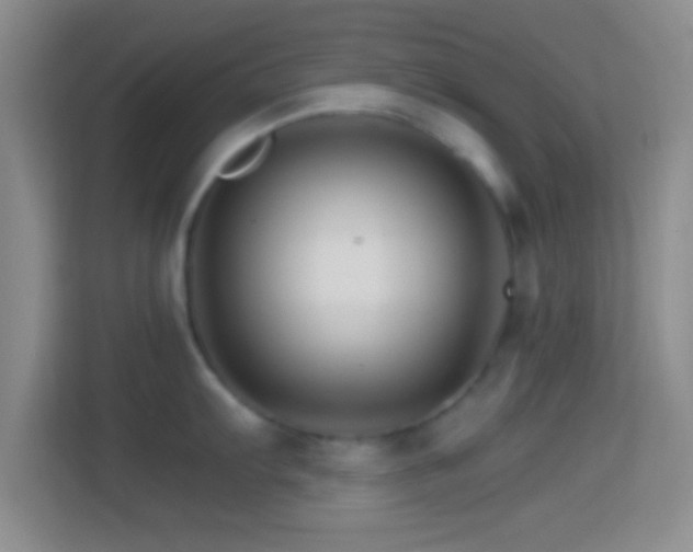 X0000114401103200910231104