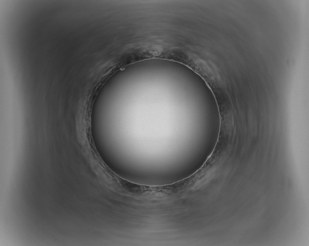 X0000114401105200910231104