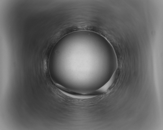 X0000114401106200910231104