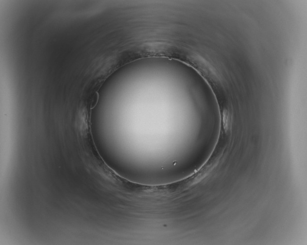 X0000114401107200910231104