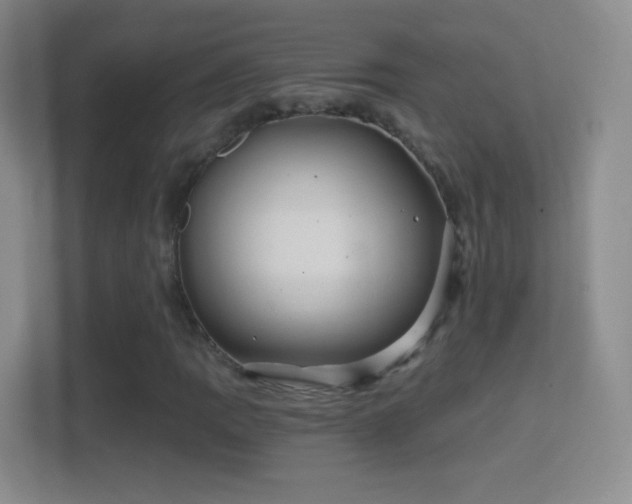 X0000114401109200910231104