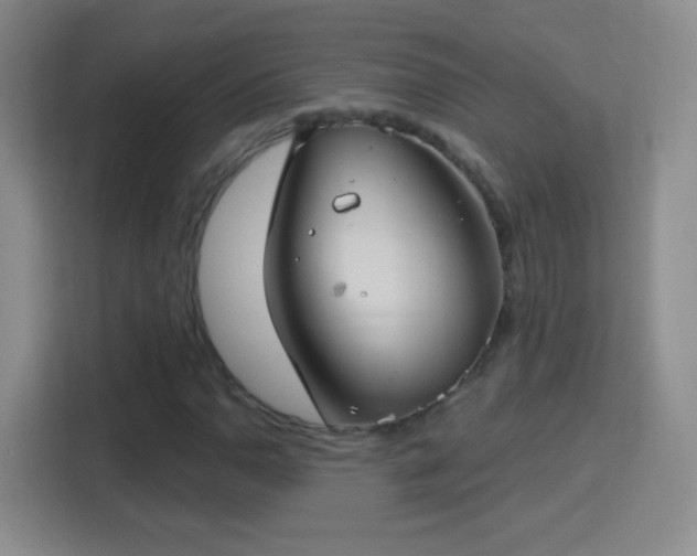 X0000114401110200910231104