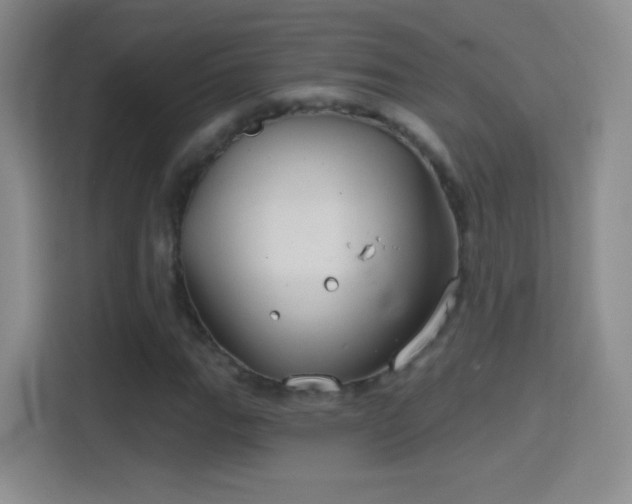 X0000114401111200910231104