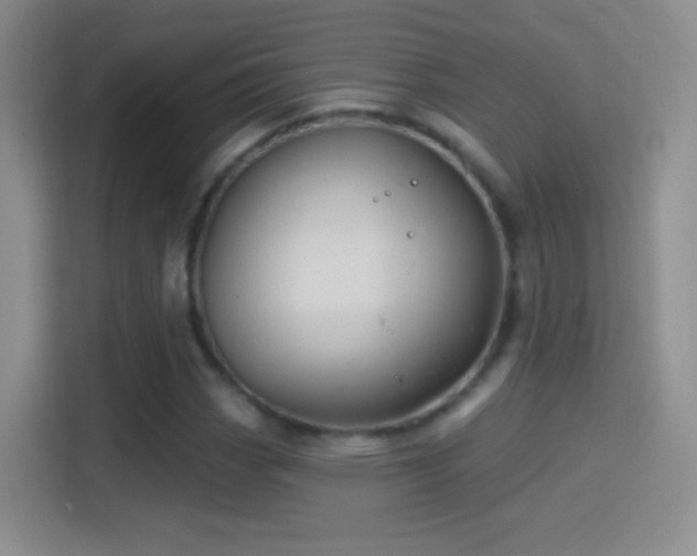 X0000114401113200910231104