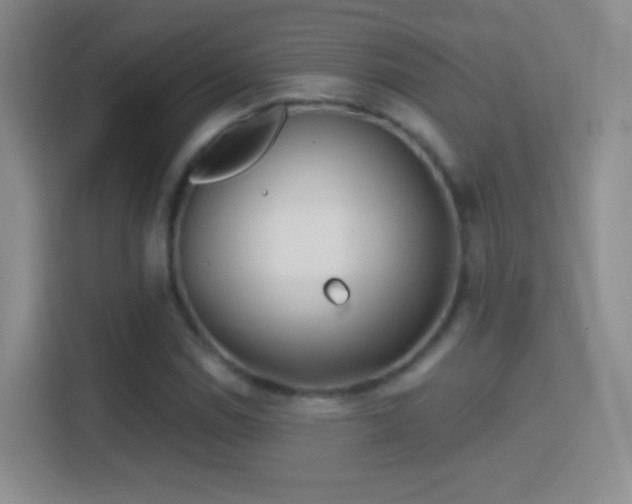 X0000114401114200910231104