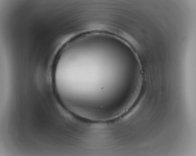 X0000114401118200910231104