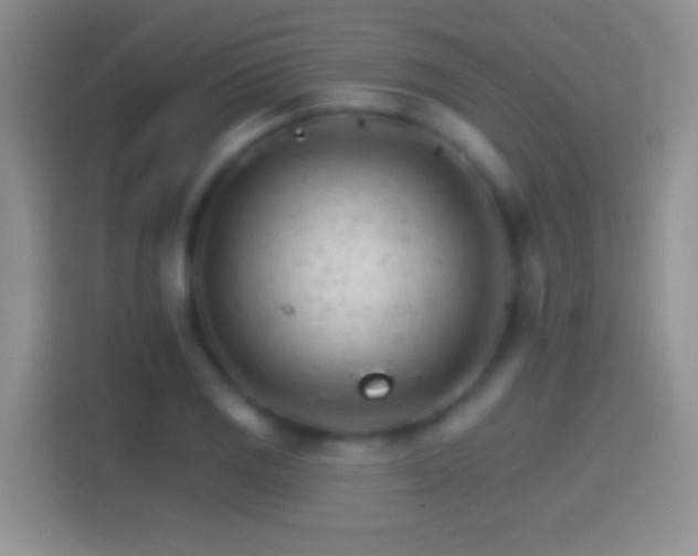 X0000114401125200910231104