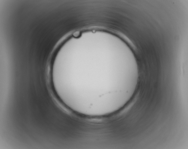 X0000114401126200910231104