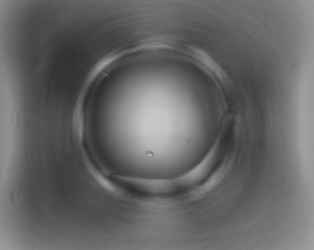 X0000114401127200910231104