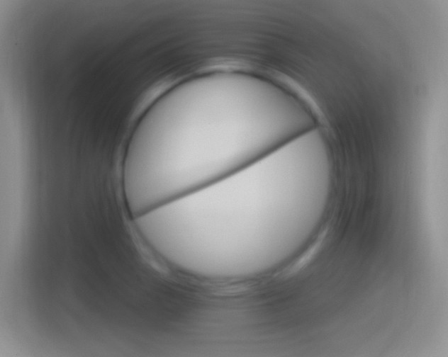 X0000114401129200910231104