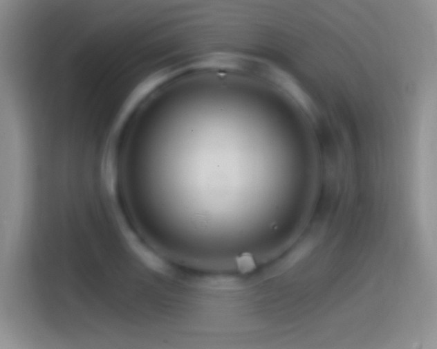 X0000114401131200910231104