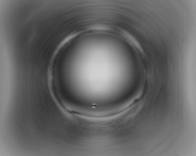 X0000114401133200910231104