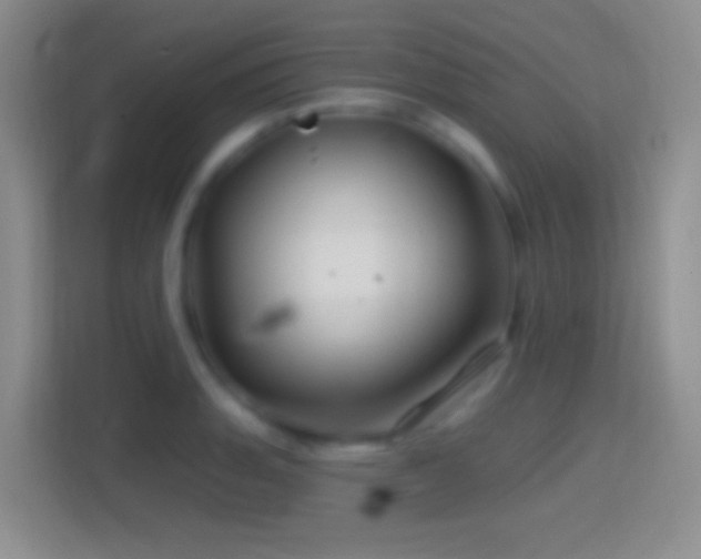 X0000114401135200910231104