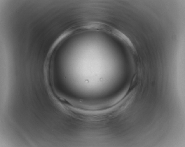 X0000114401138200910231104